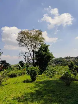 Kavling Strategis Pusat Kota Bandung di Dago Dekat dengan Punclut