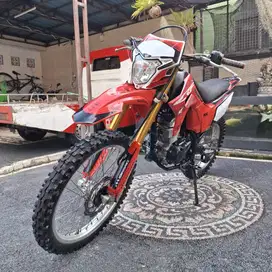 Honda CRF 150 th 2019