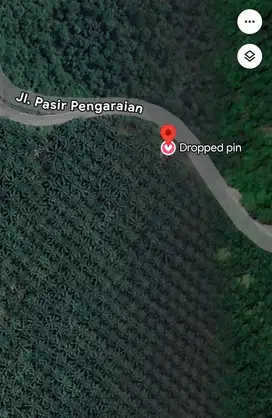 Dijual Kebun Sawit