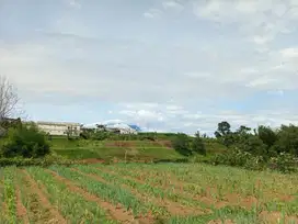 Jual cepat lokasi tanah luasan 500m di megamendung puncak bogor