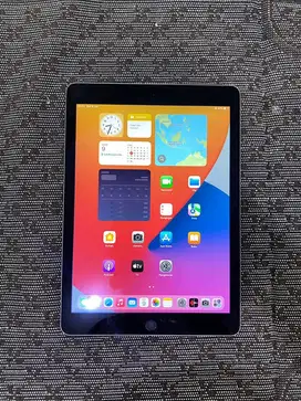 iPad Air 2 128GB Wifi