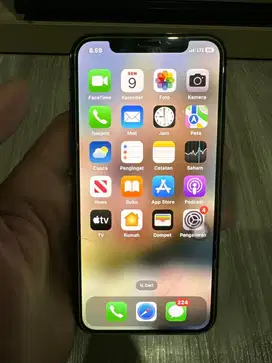 Iphone X 256gb inter LL/A