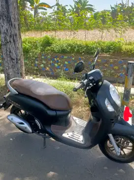 Scoopy prestige 2024