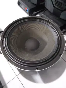Speaker 18 inch