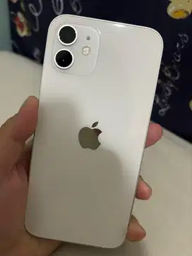 Ip12 / White / 128GB Inter