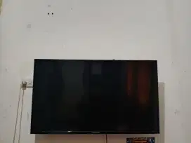 TV POLYTRON 43 INCI
