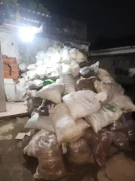 DI JUAL PUING ada 300 karung