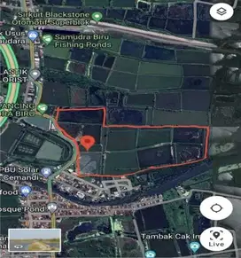 JUAL TANAH TAMBAK OSO LUAS 10 HEKTAR UNTUK PERUMAHAN SIAP BANGUN SHM