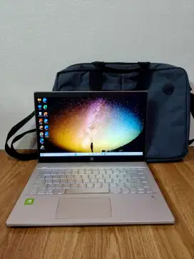 HP Pavilion intel i7 gen 10 + Nvidia MX250