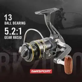 Reel Pancing Spinning Fishing 5.2:1 BB 13