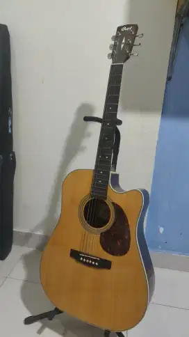 Gitar cort Mr600F