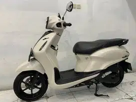 Grand filano 2024
