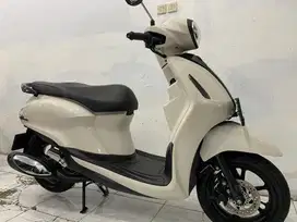 Grand filano neo 2024