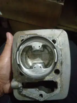 Boring tiger os 25