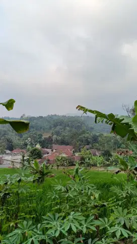 Tanah ada sumber air beresih