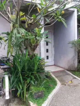Di sewakan rumah asri yang strategis di lingkungan yang nyaman