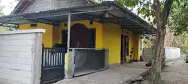 Murah banget  tanah bonus rumah di prambanan sleman