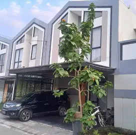 Sewa Rumah Cluster