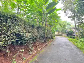 KEBUN DURIAN 200 JT SIAP PANEN KARANGANYAR