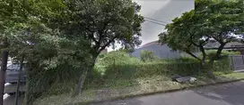 Tanah Matang Siap Bangun Taman Sakura Indah
