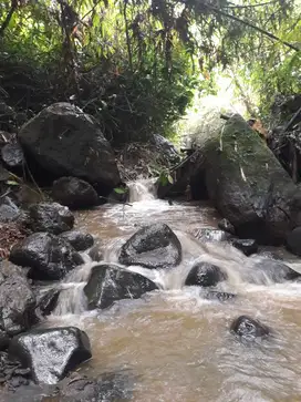 DIJUAL LAHAN TEPI SUNGAI ANAK AYUNG DI KERTA PAYANGAN
