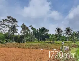 Dijual tanah luas kehun sawah subur dekat jalan suasana sejuk