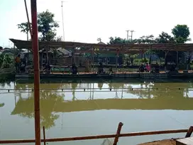 Dijual Kolam Pemancingan Aktif di Jl Kol Rahmat Tegalmunjul Purwakarta
