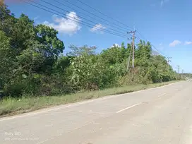 Bismillah dijual Tanah Premium 5 menit menuju IKN jalan Utama