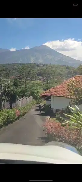 Jl. Airlangga tamiajeng  trawas mojokerto