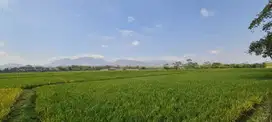 Sewa Jual Tanah Strategis Area Industri Majalaya Bandung