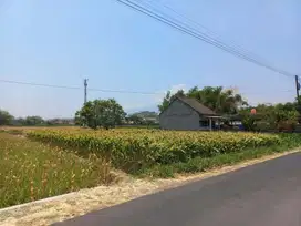 Jual Tanah Sawah Jl sumber sari desa kaliboto kec tarokan sekoto