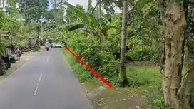 Land for Lease Jl. RSI Markandya II, Kedewatan, Ubud.