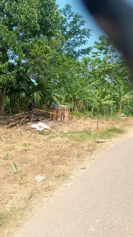 Jual tanah murah luas 10 ha, SHM, nempel jalan raya nasional