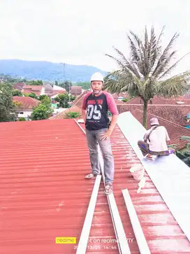 Mandor harian dan boronga  purwodadi