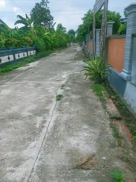 Tanah sukoharjo murah  262m² muka 8m jalan 6m, Dalangan Tawangsari