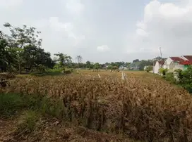 Dijual Cepat Tanah Pribadi