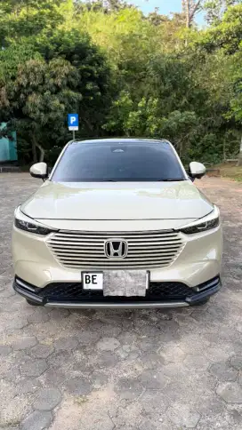 Hrv Sensing AT 2023