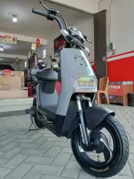 PACIFIC VERTEX TERBARU