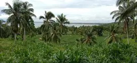 Dijual tanah pinggir pantai, cocok untuk investasi, nego sampai deal!!