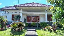 Rumah Mewah dan Asri