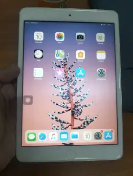 iPad mini 2 Wifi Only 16 GB