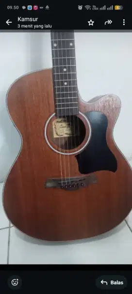 Gitar coboy gwc 235