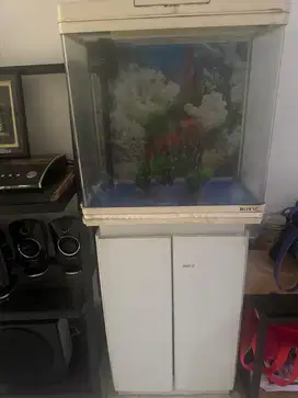Aquarium Boyu ACE Hardware Bekas