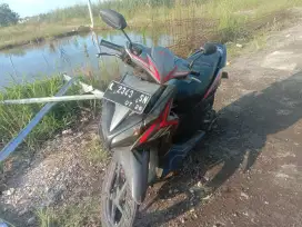 vario techno 2011