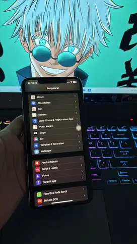 bu iphone xs max 256gb