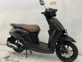 Grand filano neo 2024 akhir