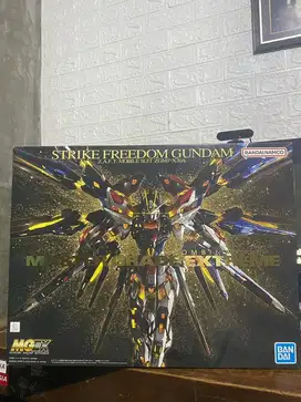 Gundam MGEX 1/100