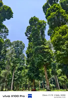 Lowongan pekerjaan Admin