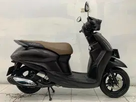 Grand filano lux 2024 akhir
