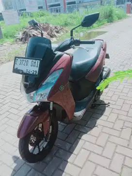 Lexi 125 Kaylles Thun 2019 terawat
